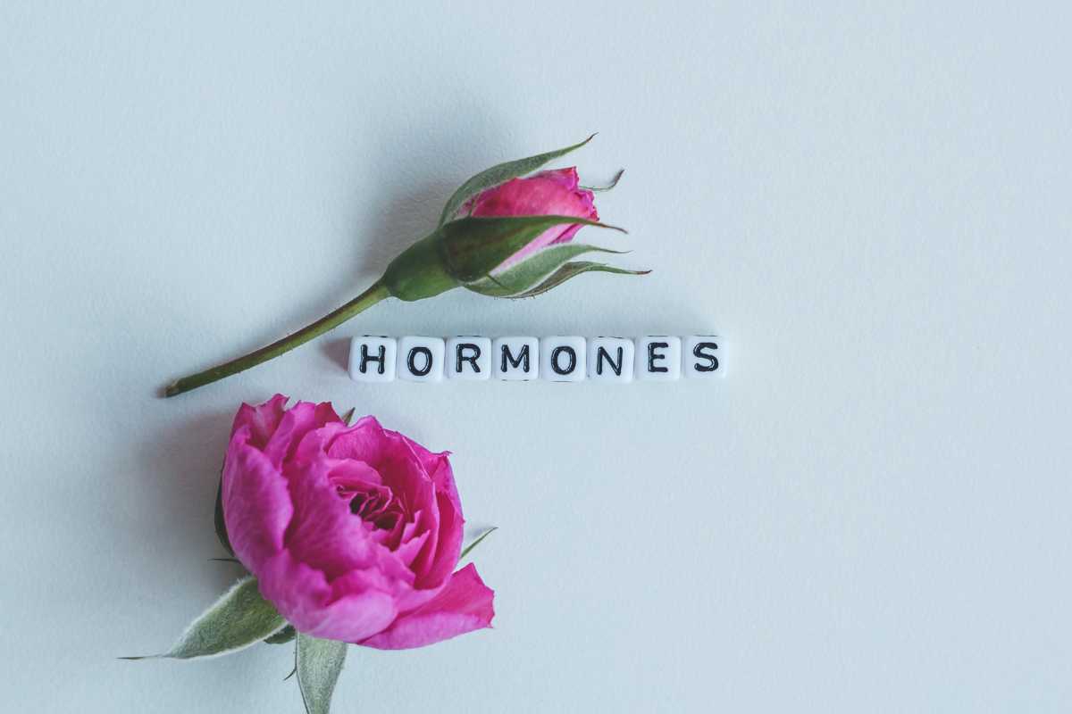 ciclo-menstrual-menopausia